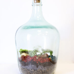 ecosistema eterno con piedras rojas y caracolas en garrafa de cristal