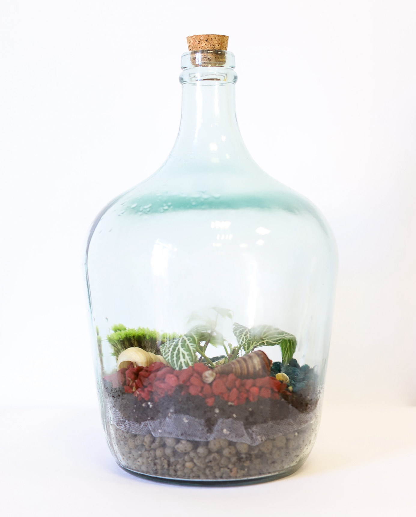 ecosistema eterno con piedras rojas y caracolas en garrafa de cristal