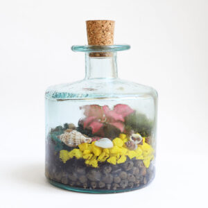 Configurador del kit