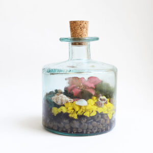 Terrario Cilíndrico 18€